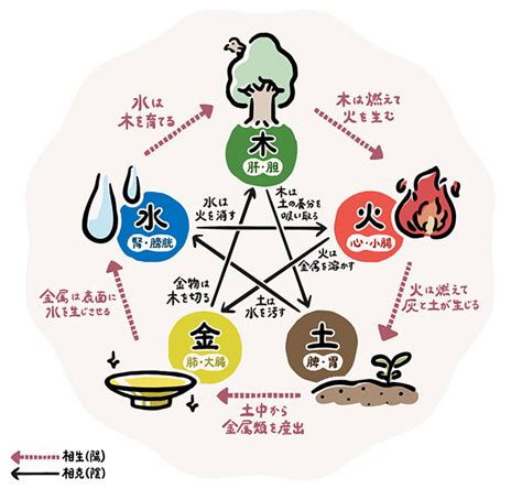 五行色体表 pdf|五行色体表